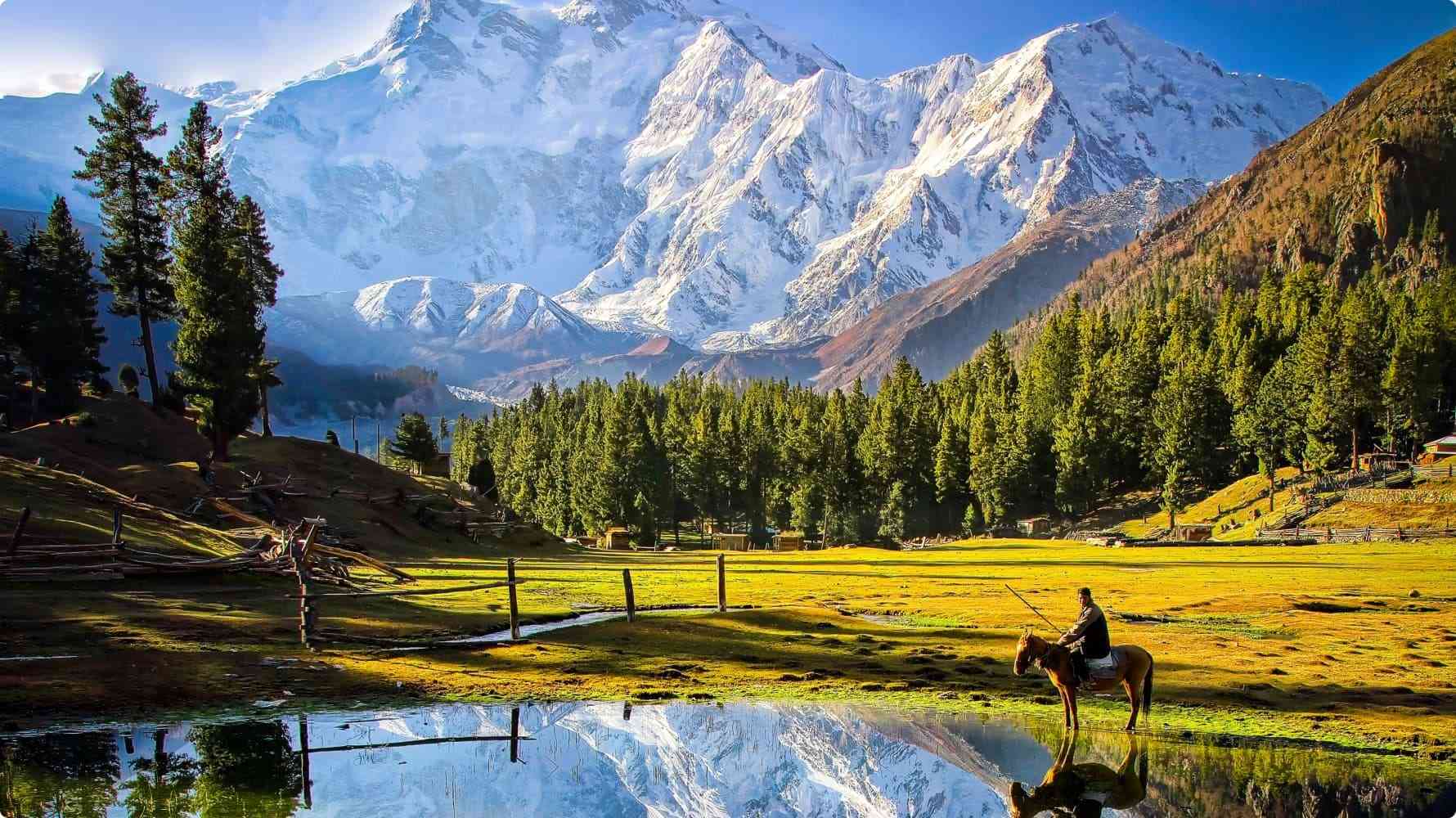 フェアリーメドウズ